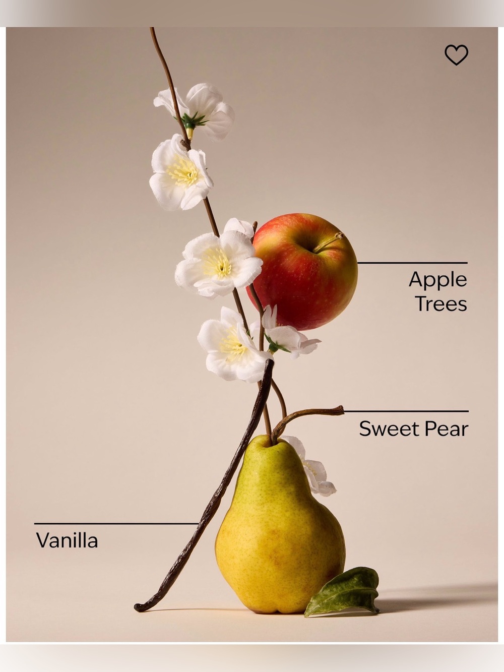 Bath & Body Works Spring Apple 3-Wick Candle New - Picture 3 of 5